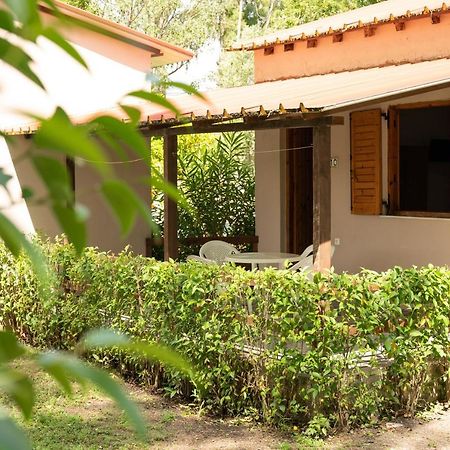 Camping Pefki Hotel Ngoại thất bức ảnh
